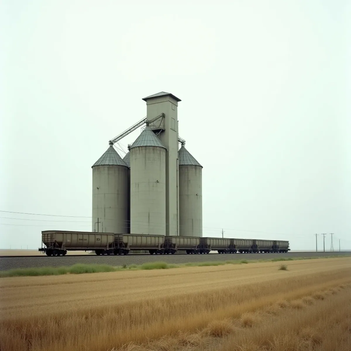 The problems with our food supply systems