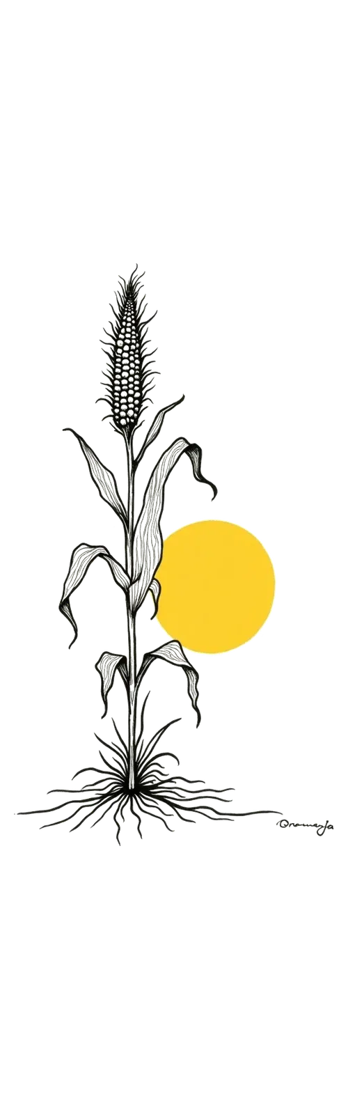 The Rise of the Monoculture Farm