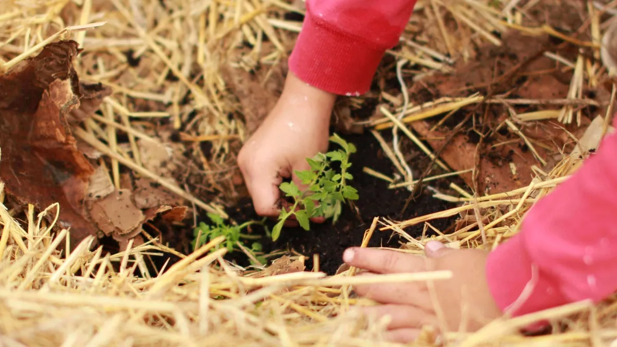 What is Circular Farming?
