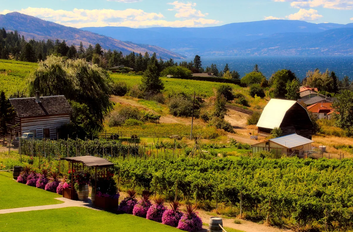 Why Small Farms Are a Key Element in Economic Recovery