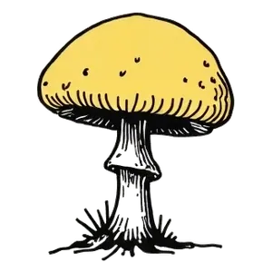 Heal the Soil