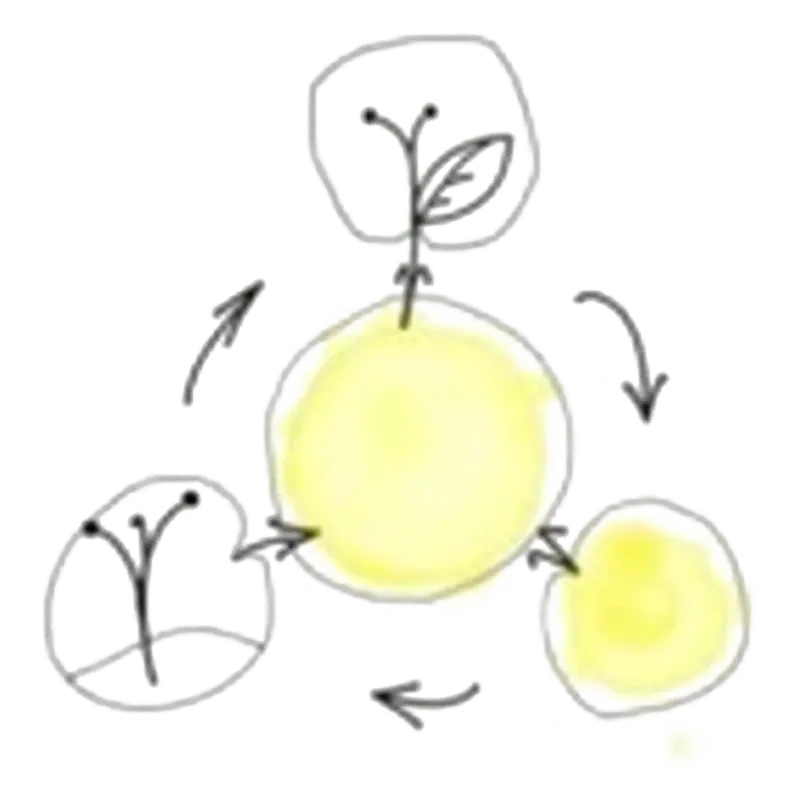 Holistic Management Systems