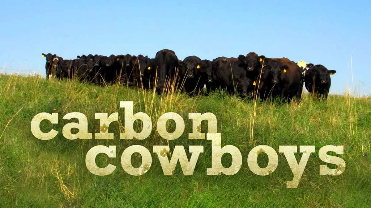 Carbon Cowboys: Title card for Carbon Cowboys: a line of black cattle on a grassy ridge under a clear blue sky with the film title in distressed cream letters.