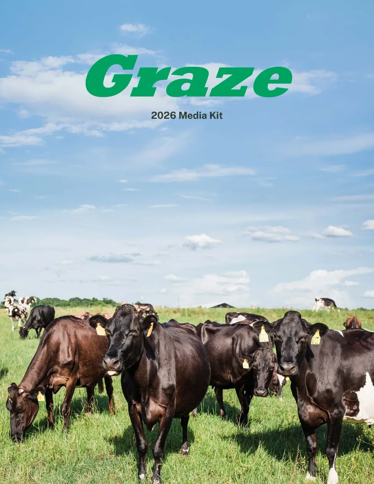 Graze: Cover of the Graze 2026 Media Kit: a herd of dairy cows grazing a green pasture under a blue sky, with the green Graze masthead.