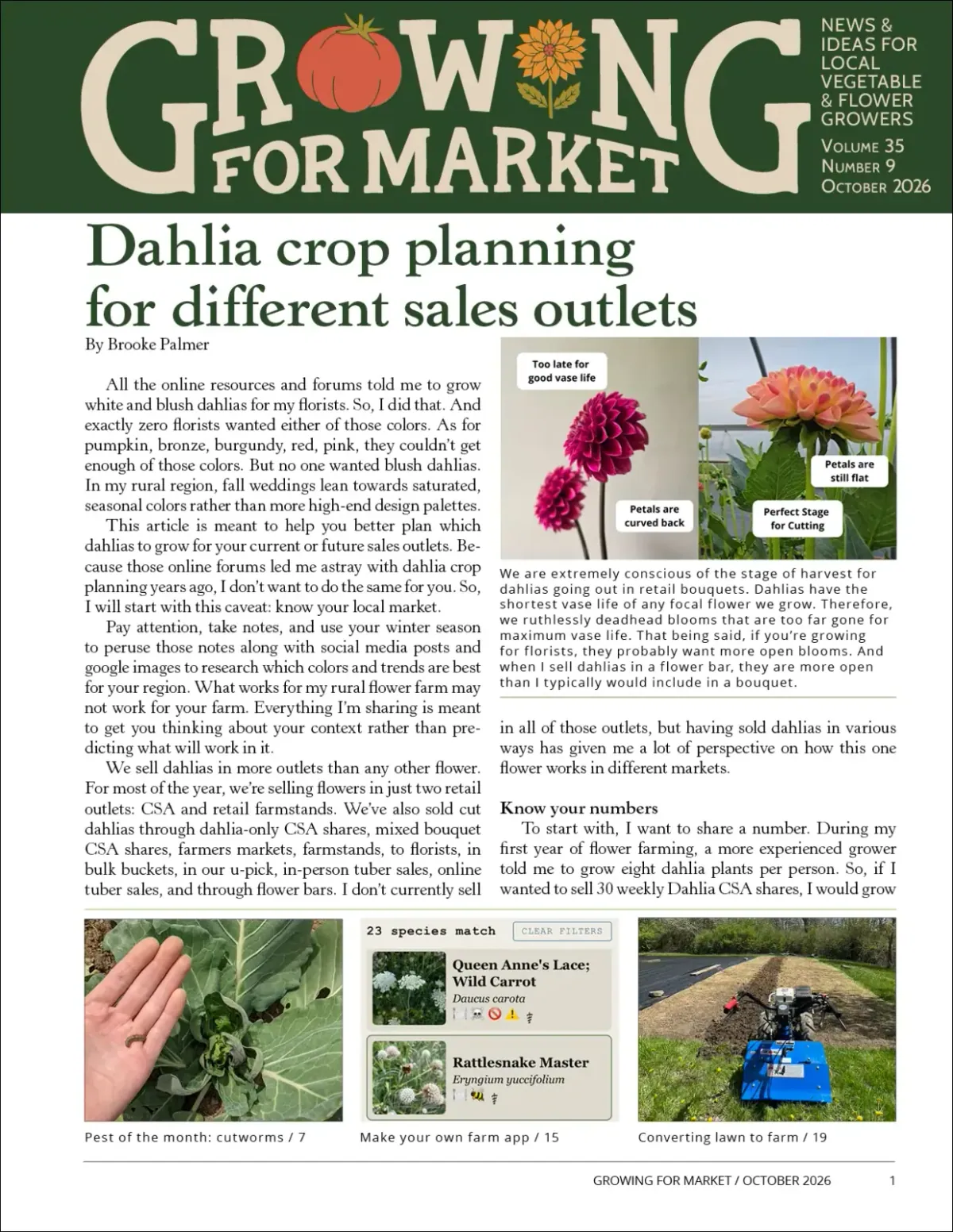 Growing for Market: Cover of Growing for Market, Volume 35 Number 9 (October 2026), with the lead story 'Dahlia crop planning for different sales outlets' and dahlia photos.