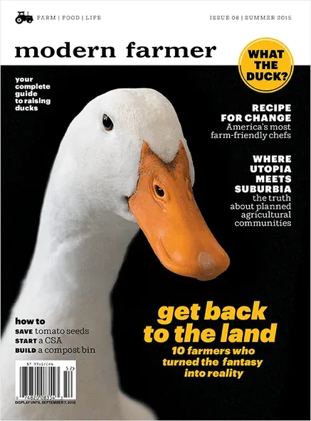 Modern Farmer: Cover of Modern Farmer Issue 08 (Summer 2015): a close-up of a white duck on black with the headline 'Get back to the land'.