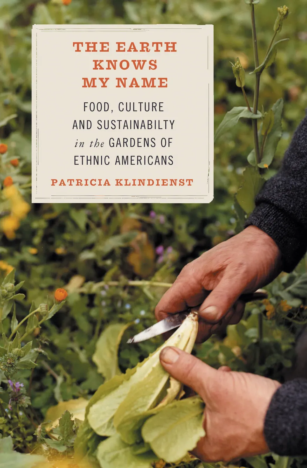 The Earth Knows My Name (Patricia Klindienst): Front cover of The Earth Knows My Name by Patricia Klindienst: weathered hands trimming a leafy green in a garden, with a cream title label at upper left.