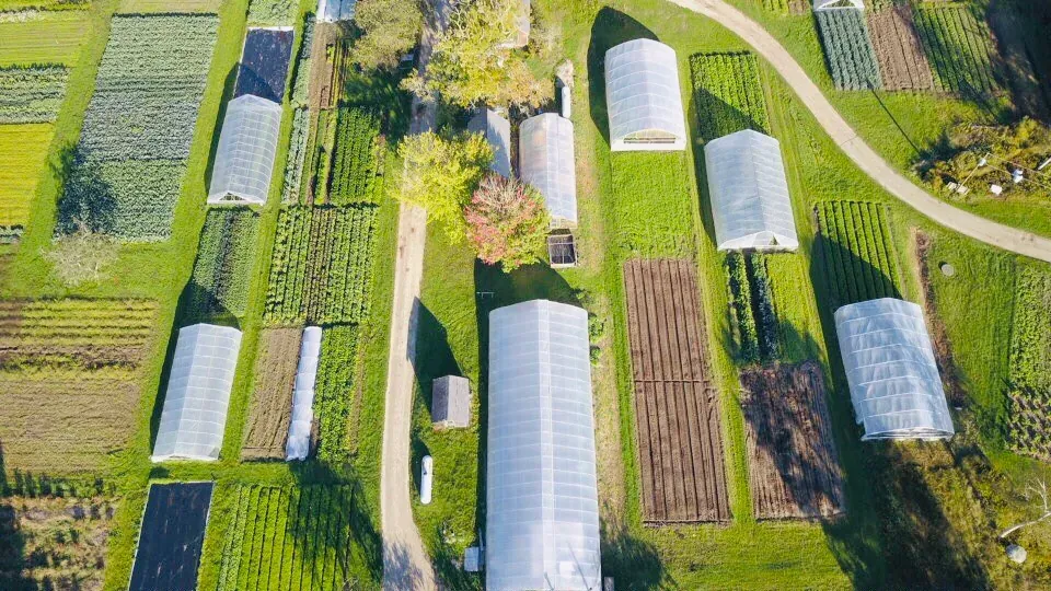 Four Season Farm: Aerial view of the farm's vegetable beds and moveable greenhouses.