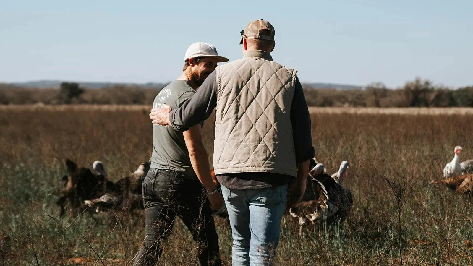 Force of Nature: Two ranchers walking together through a dry pasture among free-ranging turkeys on a Force of Nature partner farm.
