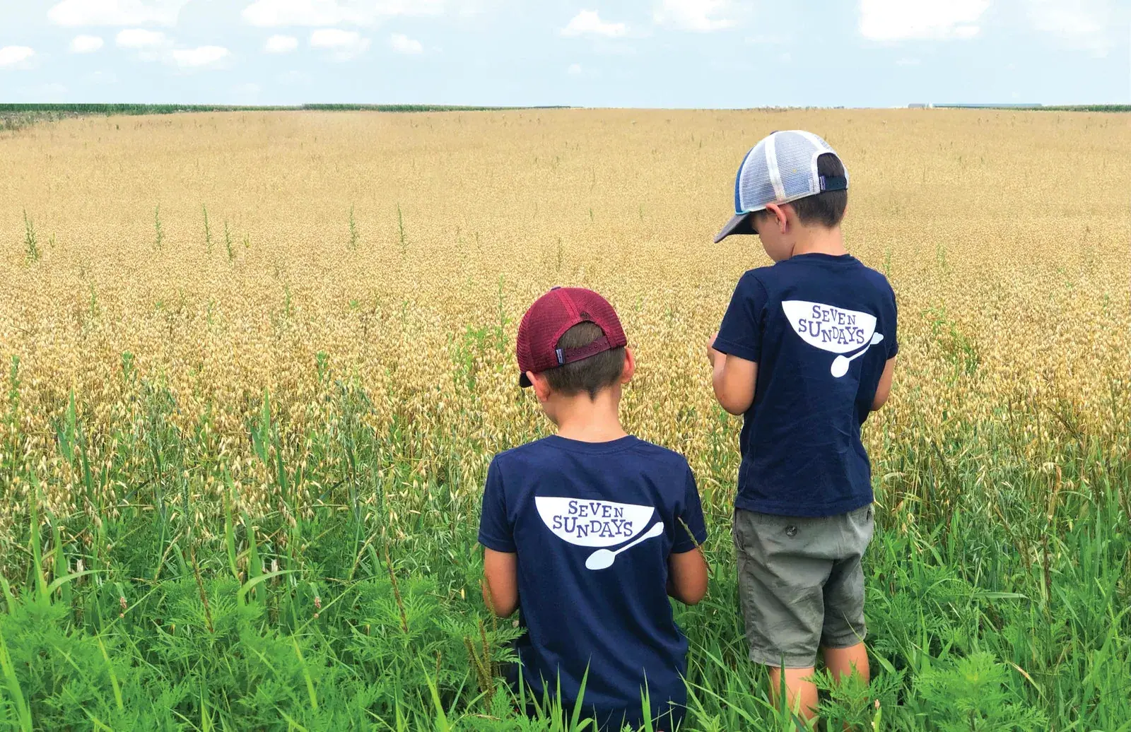 Seven Sundays: Two boys in Seven Sundays T-shirts, seen from behind, looking out over a ripening oat field under a summer sky.