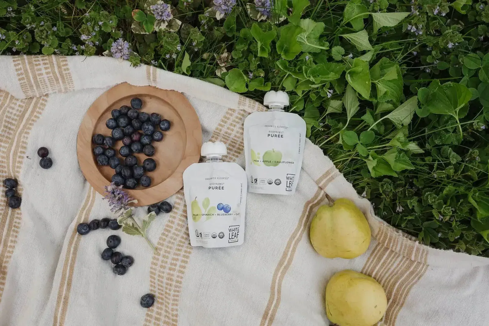 White Leaf Provisions: Two White Leaf Provisions biodynamic puree pouches on a striped picnic blanket in the grass with a bowl of blueberries and two pears.