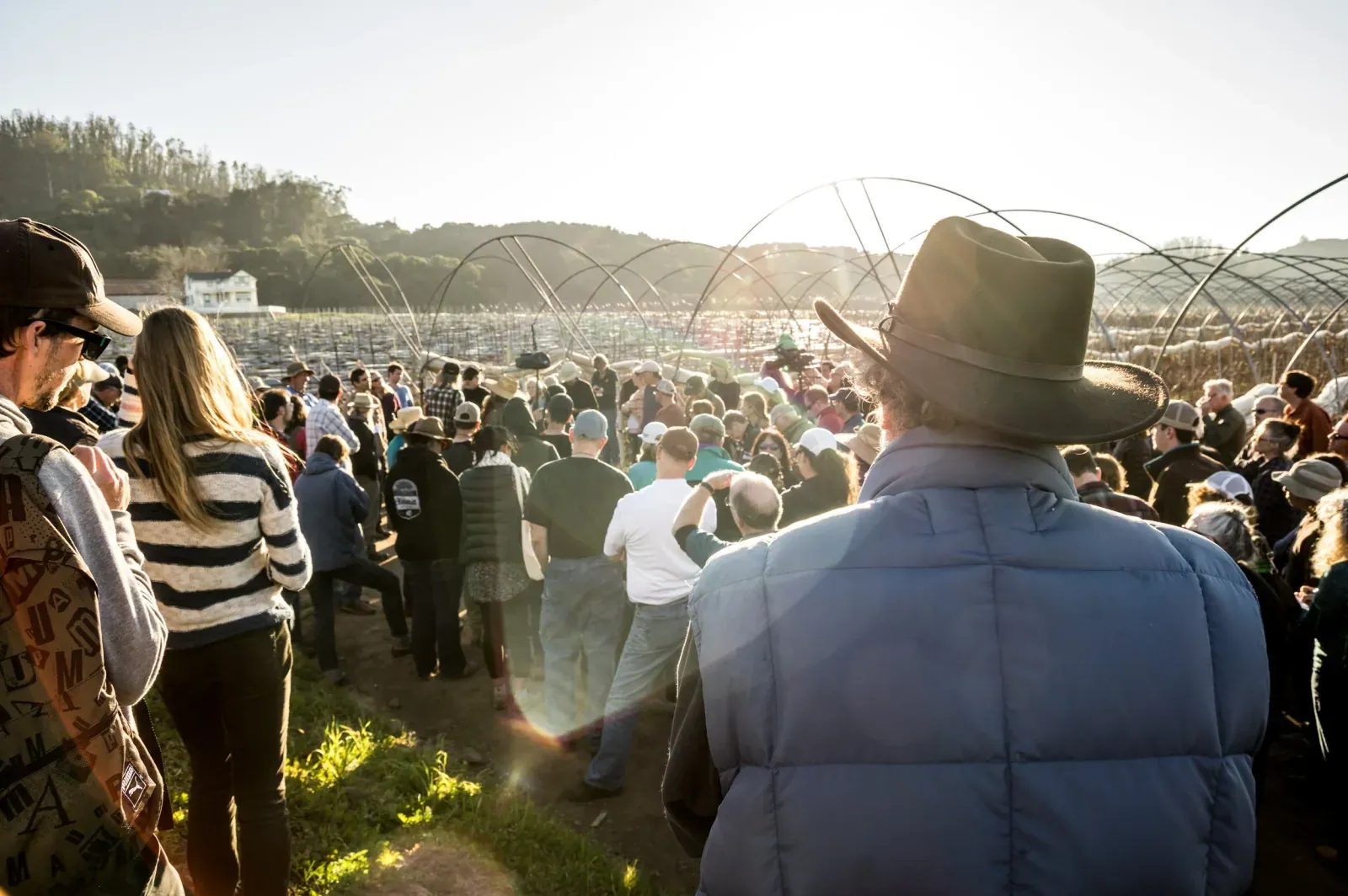 Ecological Farming Association (EcoFarm): A large crowd of EcoFarm attendees, seen from behind, gathers on a coastal farm among hoop-house frames during a pre-conference farm tour.