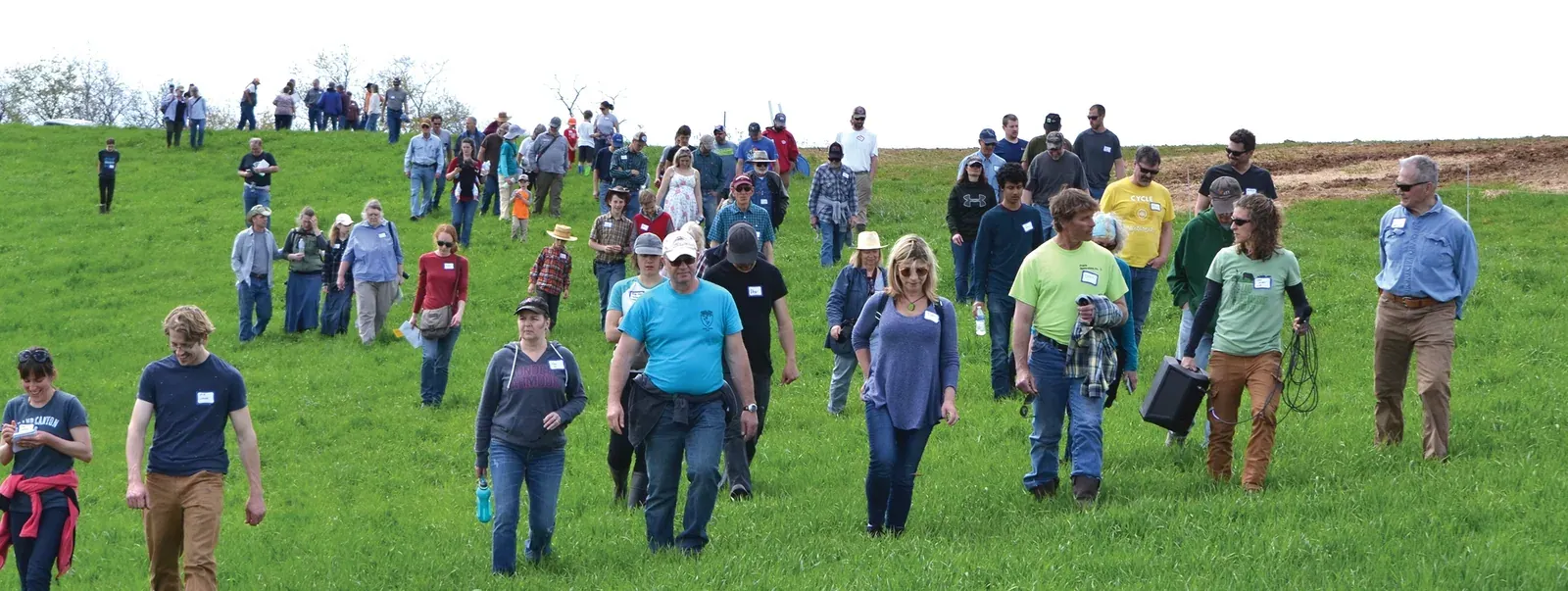 Land Stewardship Project: A large group of farmers walks down a green pasture during an LSP field day pasture walk at the Thicke farm in 2019.