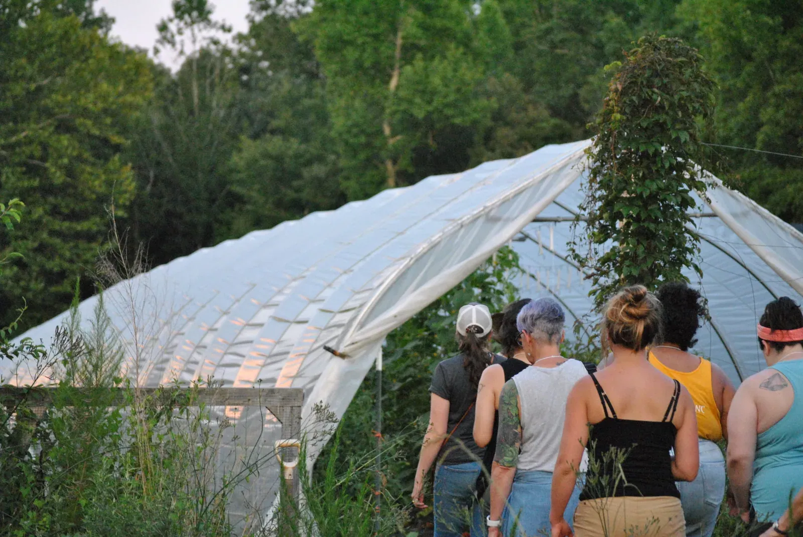 National Sustainable Agriculture Coalition: NSAC members, seen from behind, tour a high tunnel at Faithfull Farms in Chapel Hill, North Carolina.