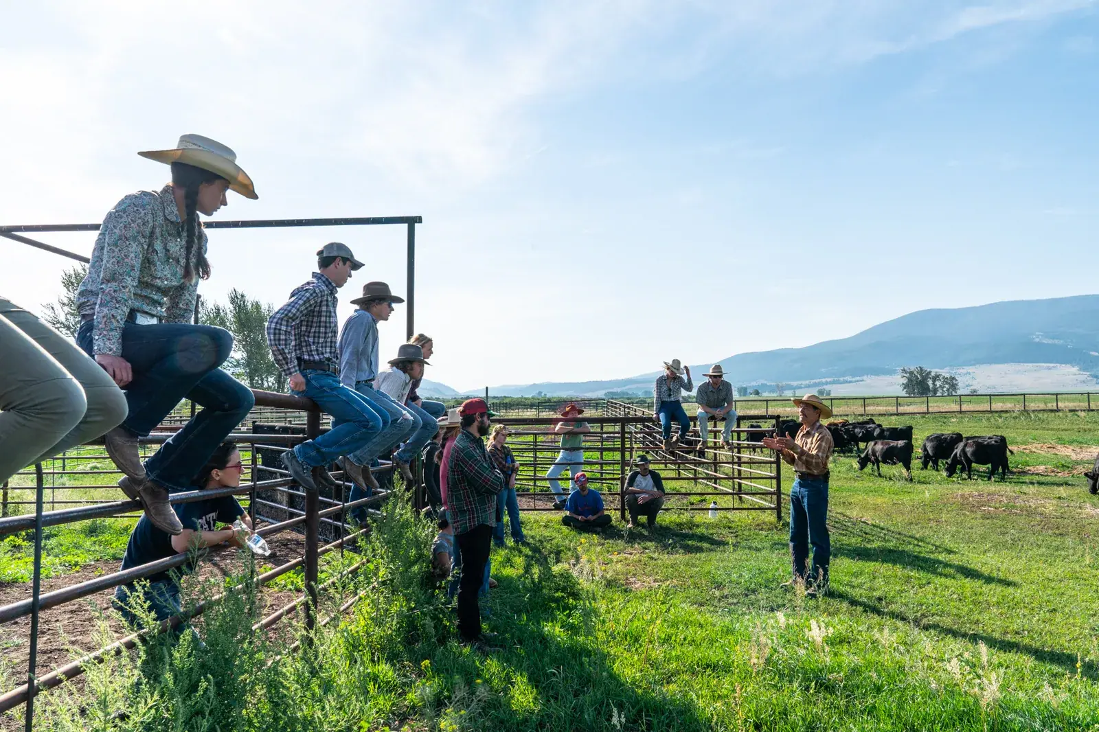 Quivira Coalition: New Agrarian Program apprentices sit on a corral fence listening to a rancher teaching beside grazing black cattle in a mountain valley.