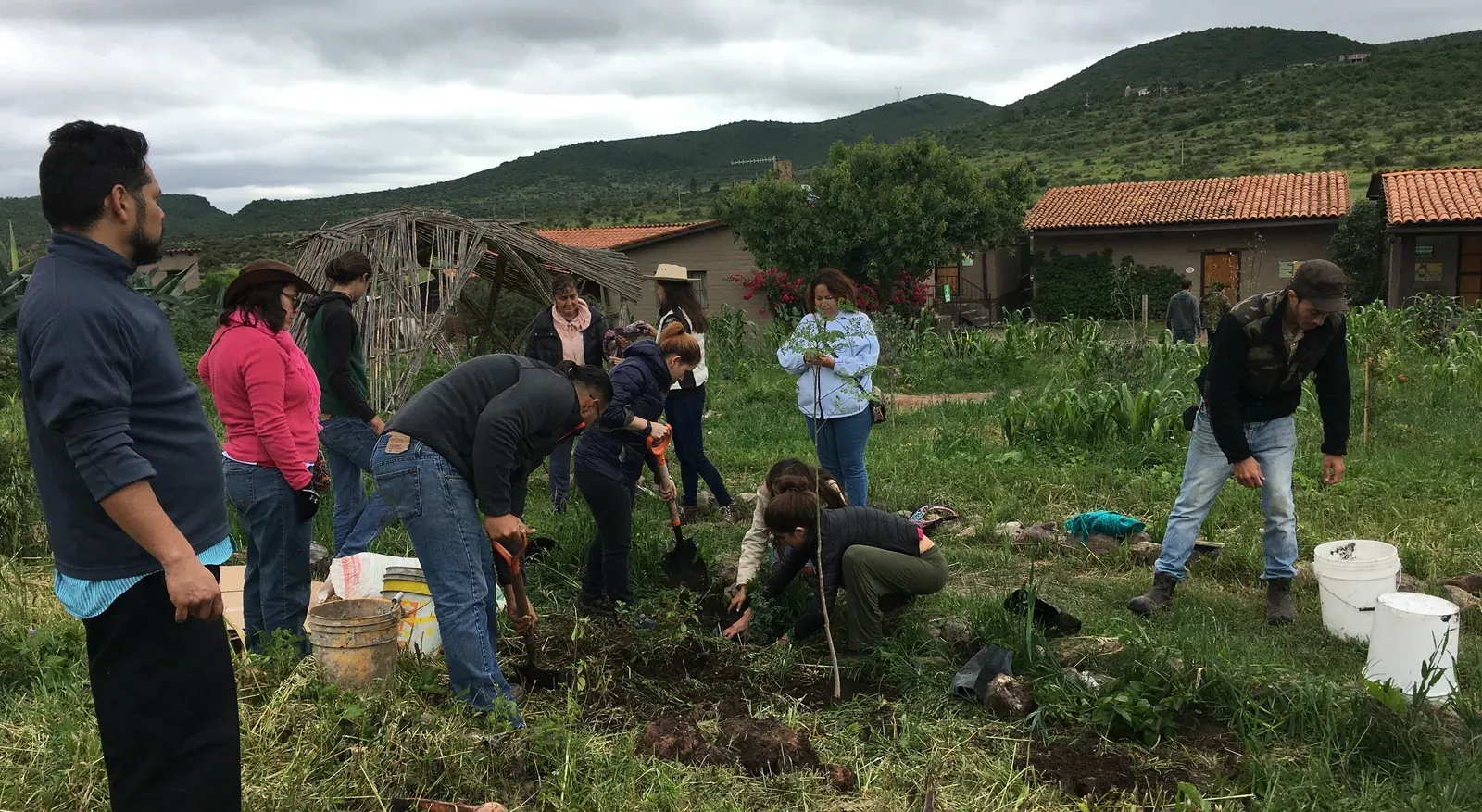Regeneration International: Participants of a regeneration camp dig and plant young trees in a garden plot at the Vía Orgánica agroecology park in the hills of Guanajuato, Mexico.