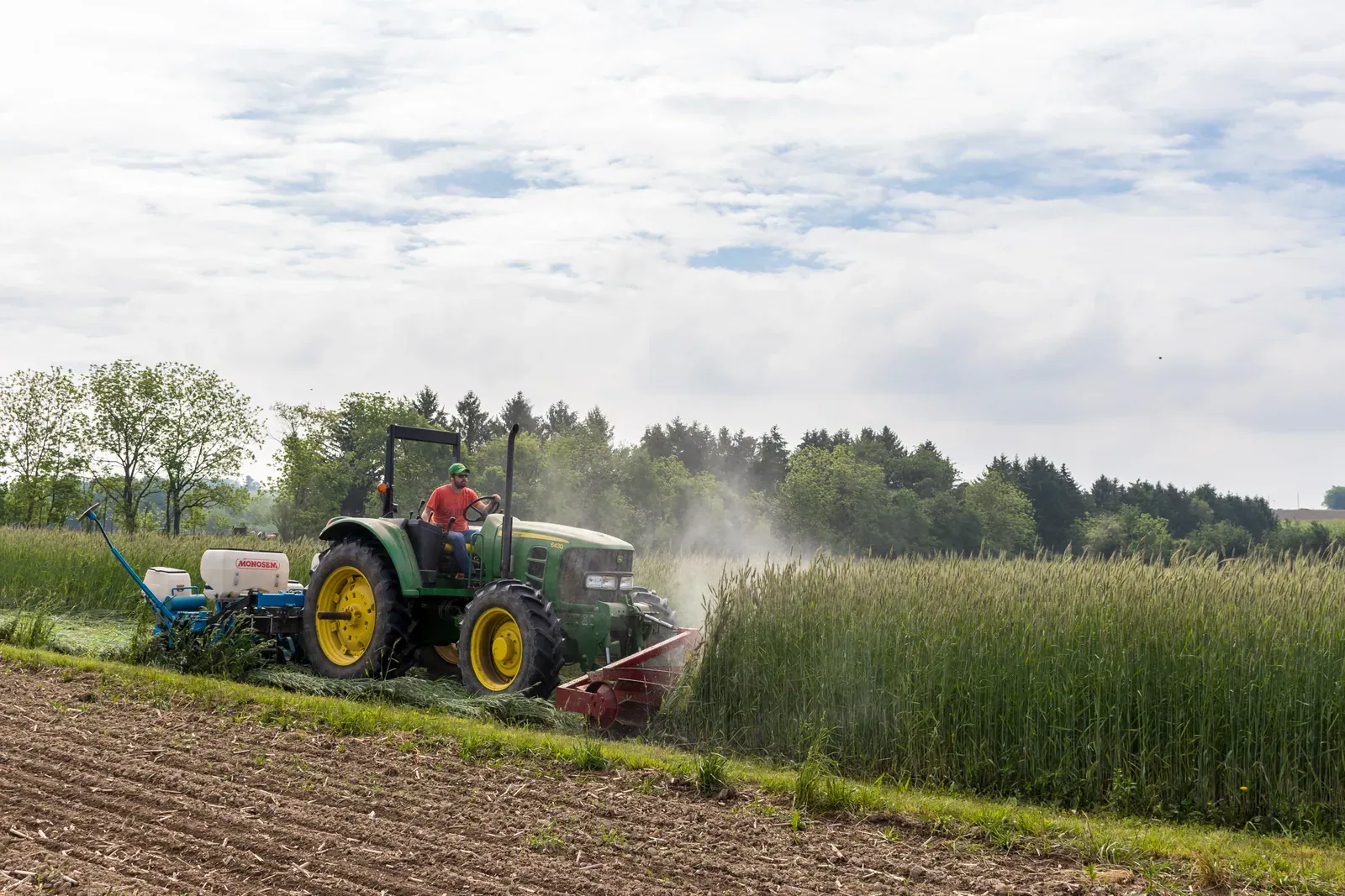 Rodale Institute: A tractor at Rodale Institute rolling down a tall cereal rye cover crop with a front-mounted roller crimper while planting no-till into the mulch.