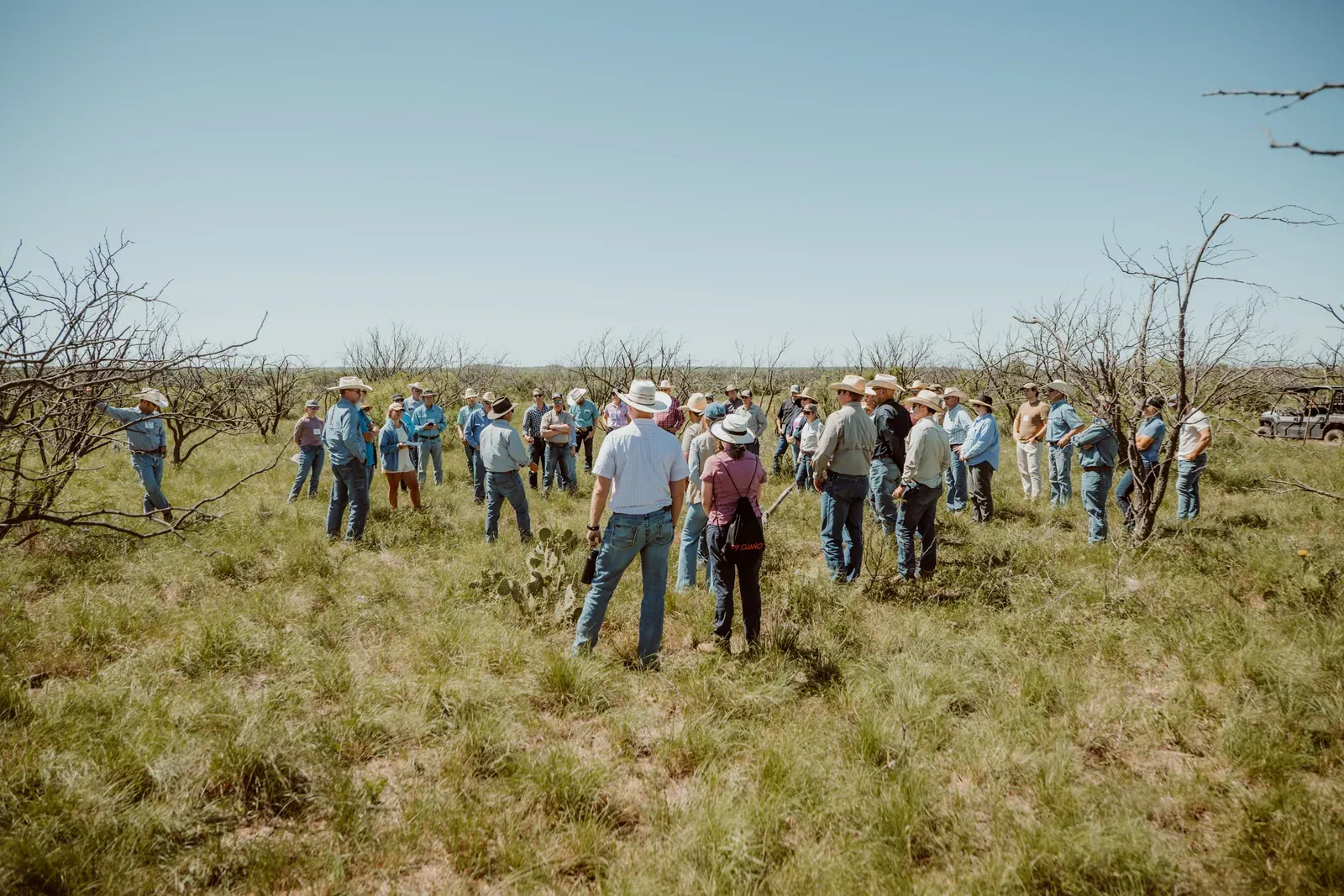 Soil Health Academy: A large group of Soil Health Academy participants in hats walks and gathers on mesquite rangeland during the May 2025 school in Throckmorton, Texas.