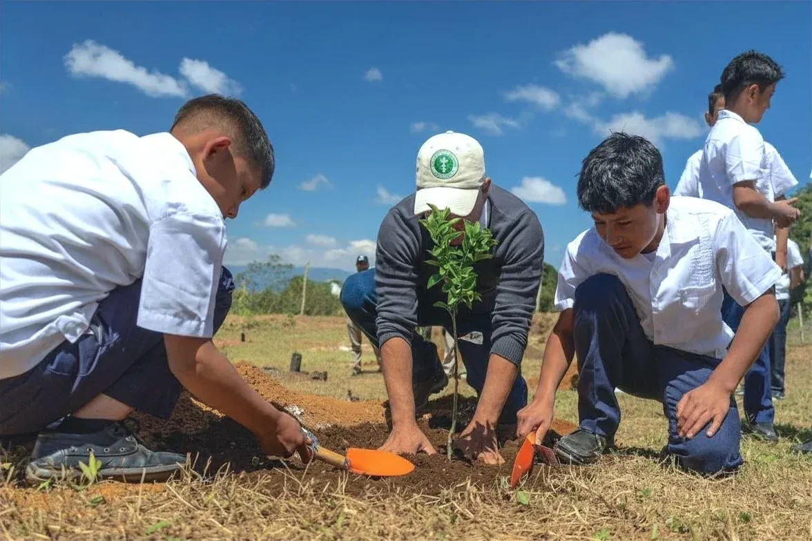 Sustainable Harvest International: A Sustainable Harvest International team member in an SHI cap plants a fruit tree with schoolchildren at a primary school orchard in rural Intibuca, Honduras.