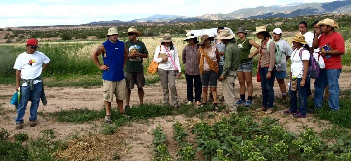 Traditional Native American Farmers Association: A group of participants in sun hats stands at the edge of crop beds on a farm in the northern New Mexico high desert, listening to an instructor.