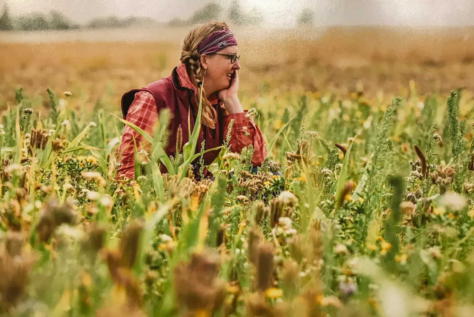 Anna Jones-Crabtree: Anna Jones-Crabtree in a plaid shirt and vest sitting in a flowering cover-crop field, chin in hand, looking across the crop.