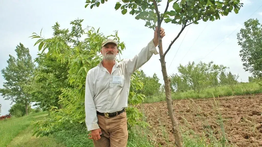 Mark Shepard with one hand on a young tree in his perennial planting, chestnut trees and tilled ground beside him.