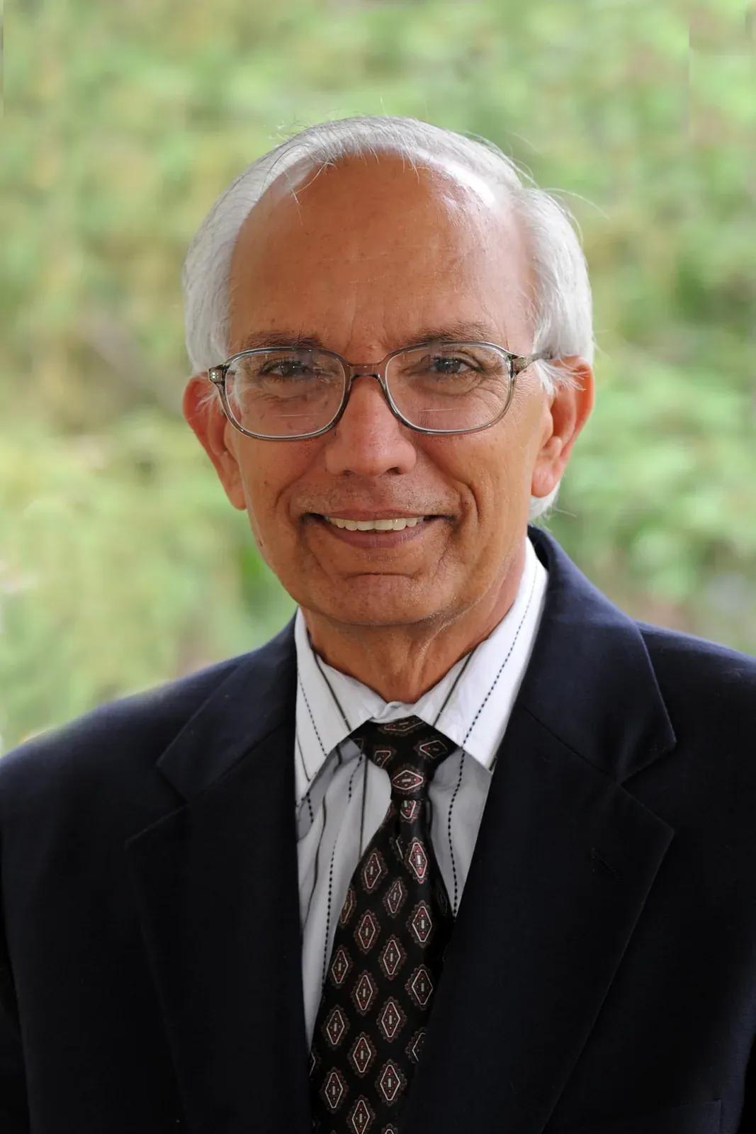 Rattan Lal: Formal head-and-shoulders portrait of Rattan Lal in a dark suit and patterned tie, smiling, green foliage behind.