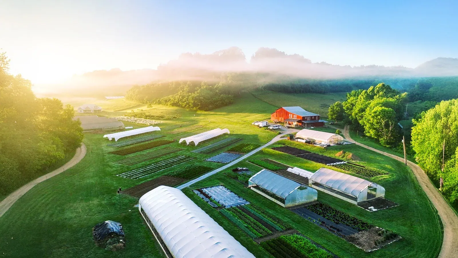 Drone view at sunrise of a market farm with caterpillar tunnels, high tunnels, vegetable beds and a red barn in a misty valley, from the Farmers Friend video channel.