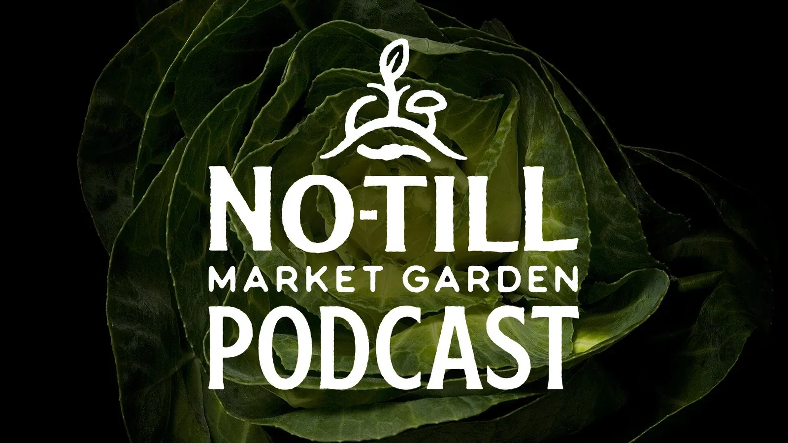 No-Till Growers Podcasts: Official No-Till Market Garden Podcast artwork (the network's flagship show) from the No-Till Growers podcasts page: show wordmark over a dark cabbage photograph.