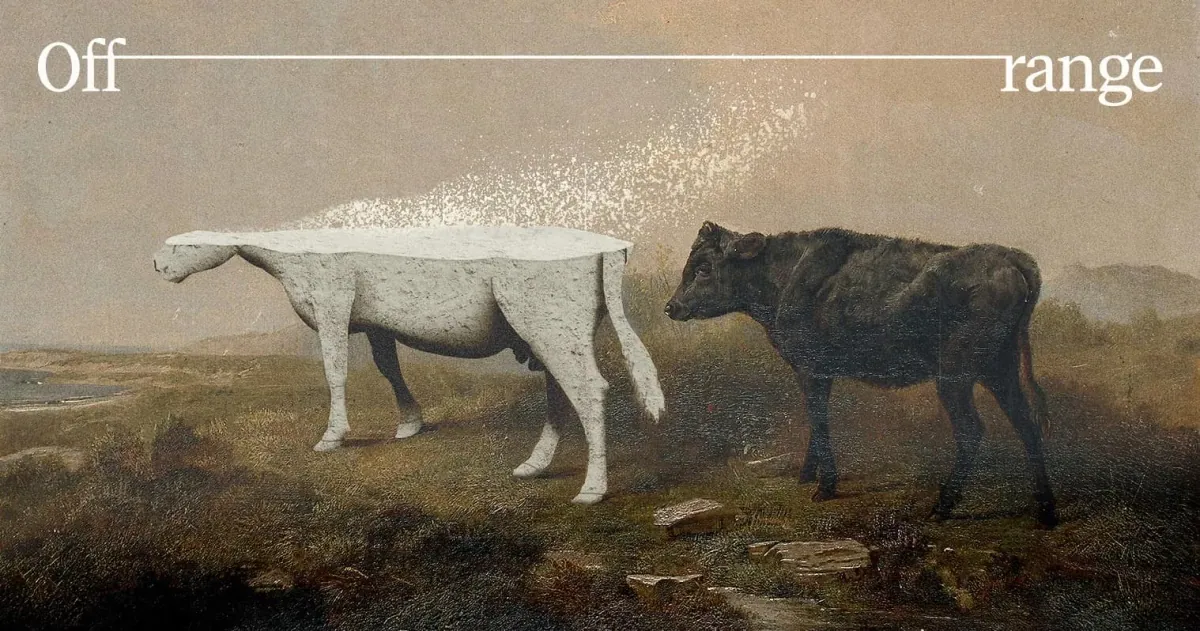 Offrange: Offrange's official share artwork: a collage of a painted pastoral cattle scene with one calf rendered as white stone, under the Off/range wordmark.