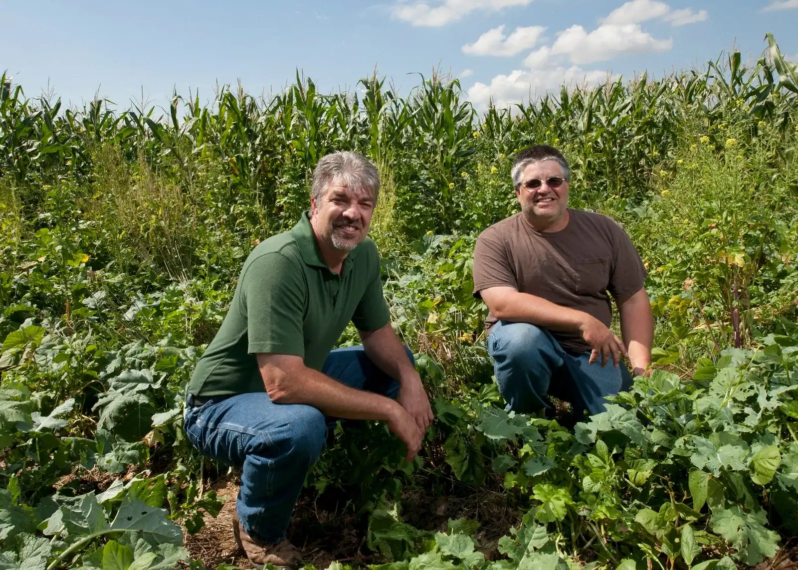 Green Cover: Two men kneel in a diverse multi-species cover crop in front of standing corn on the Berns family farm in Nebraska, home of Green Cover.