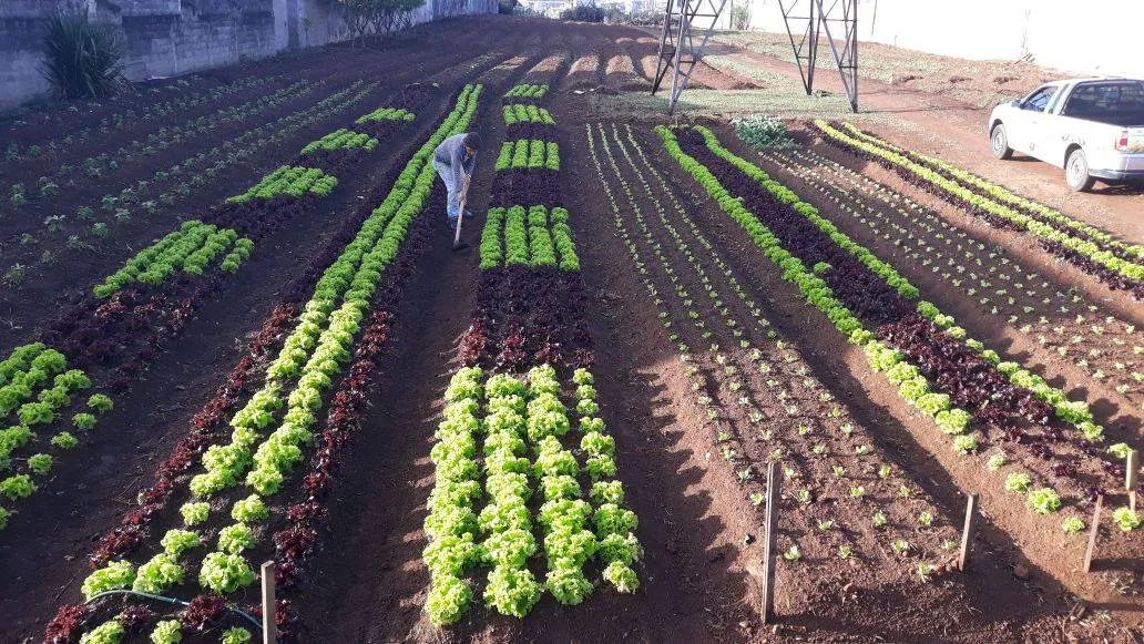 6 Facts about Sustainable Agriculture