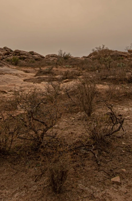 The Problem: Desertification & Soil Degradation