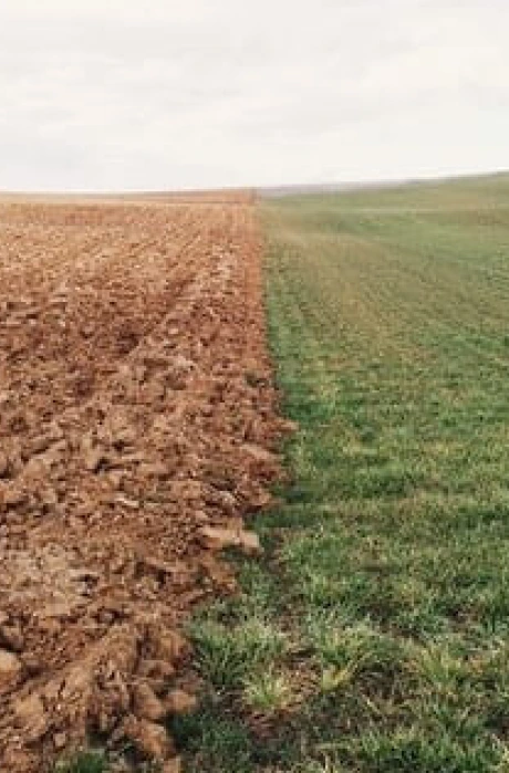 The Problem: Excessive Tilling and Soil Damage