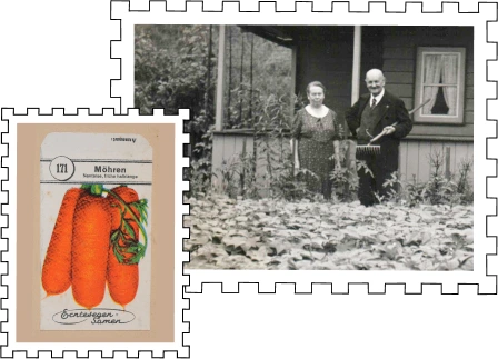 Life Lessons & Quality Time with Dad in the Allotment