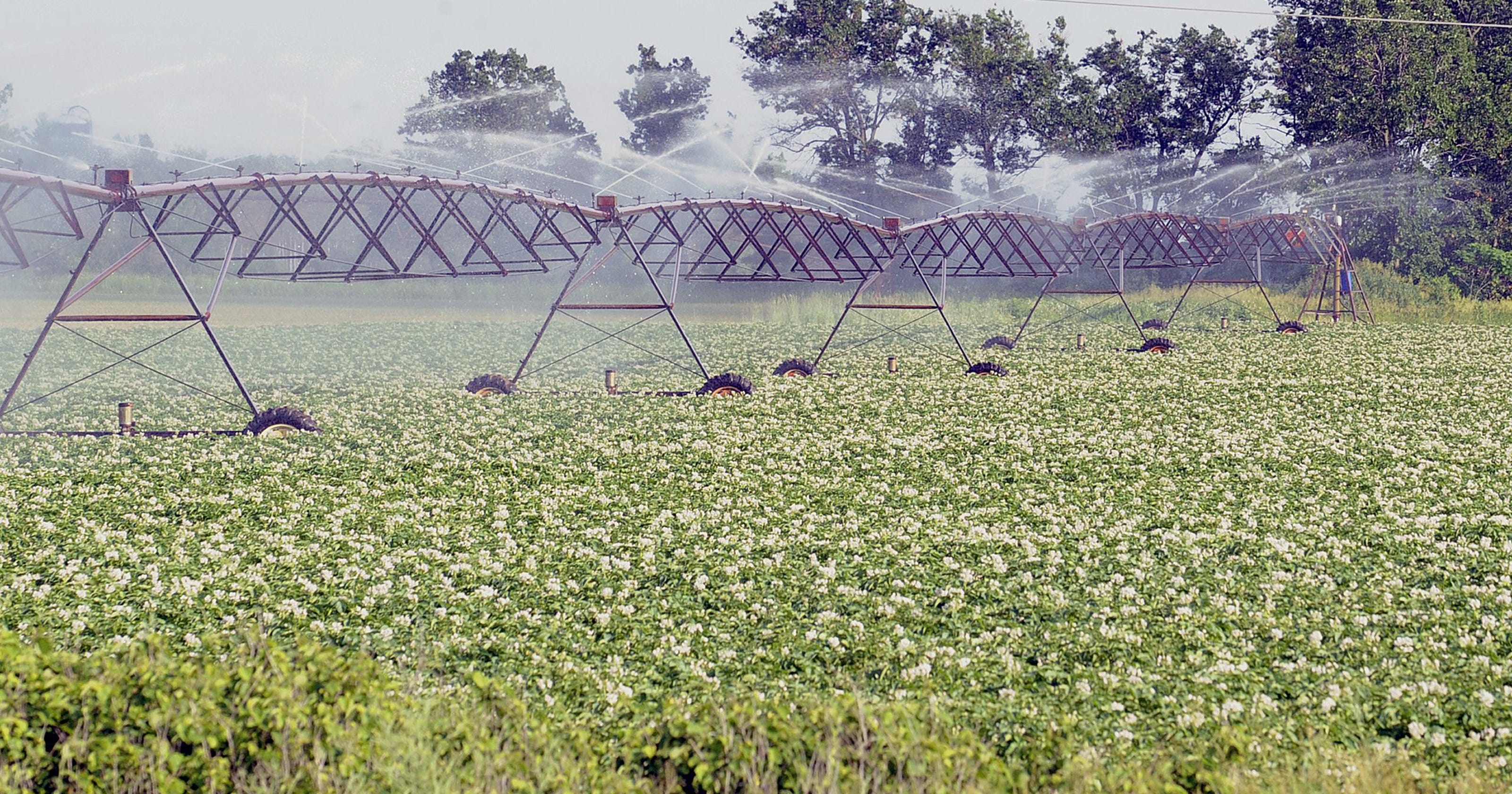 How Can Farmers Help Reduce Water Pollution