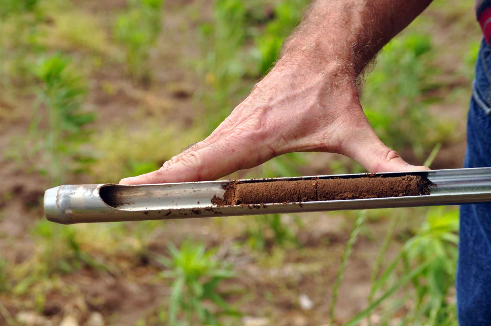 Анализ почвы. Soil Test.